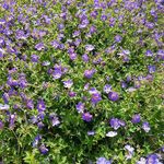 Kathy Beebe Gustafsson - @kathygustafsson - Instagram