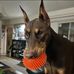 Kathy Booth - Facebook