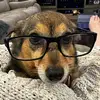 Kathi_Brown - @kathi_brown_ - TikTok