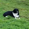 Kathy Cunningham - @kathy.cunningham - TikTok