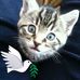 Kathi Davis - Facebook