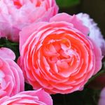 Katharina Decker - @kathi.decker27 - Instagram