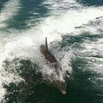 Kathy Decker Peterson - @kathy_a_peterson - Instagram