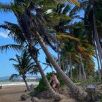 Kathi Harvey - @kathi.harvey.7 - Instagram