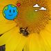 Kathi Henderson-Sinnott - Facebook