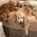 Kathi Burke Hoffman - @kathiburkehoffman - Instagram
