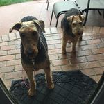 Kathi Johnson - @katej50 - Instagram