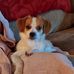 Kathi Keith - Facebook