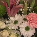 Kathi Kelly - @katk1020 - Instagram