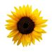 Kathi Kerr - Facebook