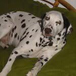 Kathi Klein - @kathi007milka006 - Instagram