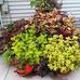 Kathy Krause - Facebook