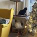 Kathi Krueger - Facebook