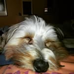 Kathi Krueger - @phil2fred - Instagram