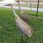 Kathy Krueger - @kathy.krueger.16 - Instagram