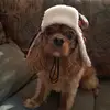 @kathykrzywicki - @kathykrzywicki7 - TikTok