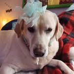 kathi lawrence - @kitkat23800 - Instagram