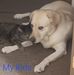 Kathi Lawrence - Facebook