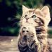 Kathie Lawrence - Facebook