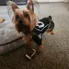 Kathy Lawrence - @kathy.lawrence - TikTok