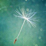 Kathi/11/Bayern/forever - @_kathi_lilly_ - Instagram