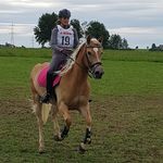 Winners🏆 - @kathi_lilly_ - Instagram