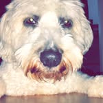 KLO - @kathilopez03 - Instagram