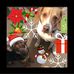 Kathy Lowe - Facebook