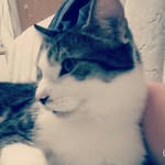 kathi ludwig - @kathisehre13 - Instagram