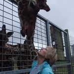 Kathy Matthews - @kathleen.windmill - Instagram