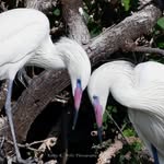 Kathy Mills Photography - @kathy_k_mills - Instagram