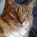 Kathy Monroe - Facebook