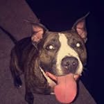 Kathy Moss - @kathy.moss.98499 - Instagram