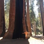 Kathy Moss Webb - @kathymosswebb - Instagram