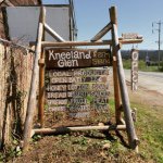 Kathy Mullen - @kneelandglenfarmstand - Instagram