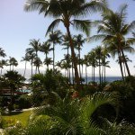 Kathi Murphy - @kmurph2u - Instagram