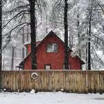 Kathi Murray Fry - @kathi383 - Instagram