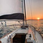 Kathy Newton - @nourish1 - Instagram
