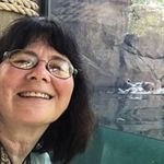 Kathy Newton - @catfest8 - Instagram