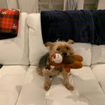 Kathi Nguyen - @tol8tochange1 - Instagram