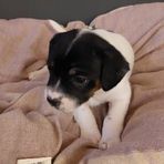 Kathi Oster - Facebook