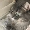 Kathi Patton106 - @kathipatton106 - TikTok