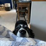 Kathi Colen Peck - @kscp10 - Instagram