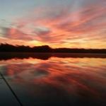 Kathi Peck - @peckkathi - Instagram