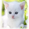 Kathy Petersen - @kathypetersen - TikTok