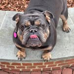Kathi Giantonio Porter Saunders - @kathi_saun - Instagram