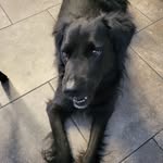 Kat Potter - @kathypotter43 - Instagram