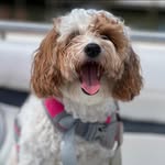 Kathy Potter - @kathypotter154 - Instagram