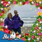 Kathy Potter - @kathy.potter.505 - Instagram