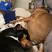 Kathy Loder Powell - Facebook